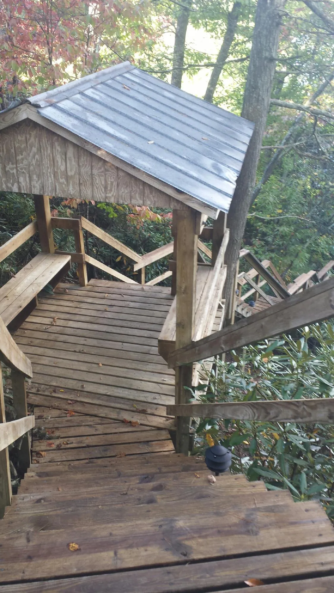 Metal roofed shelter over wooden steps on a wooded walkway — Skylight Repair & Installation work by our crew in Rickman